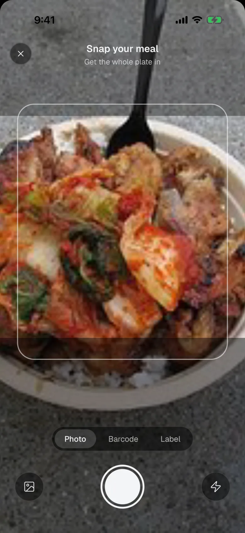 Snapping a photo of a chicken rice bowl in the meal scanner